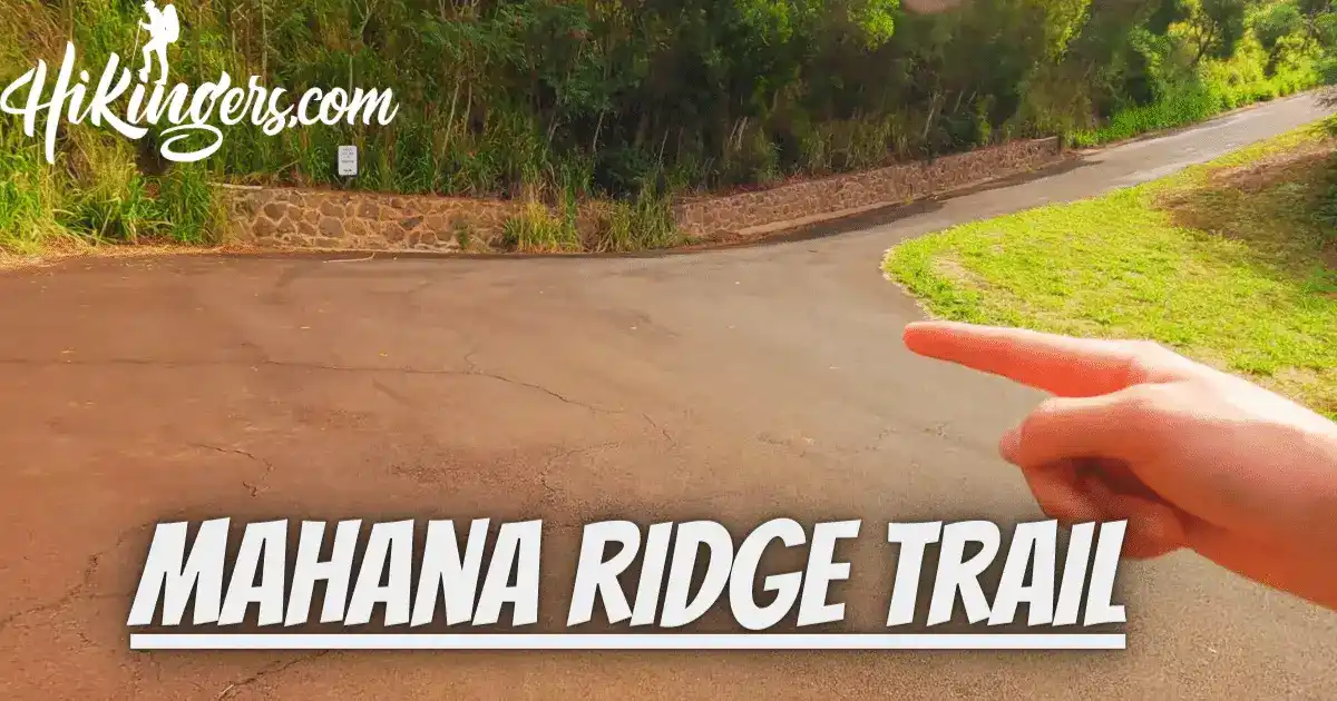 mahana-ridge-trail