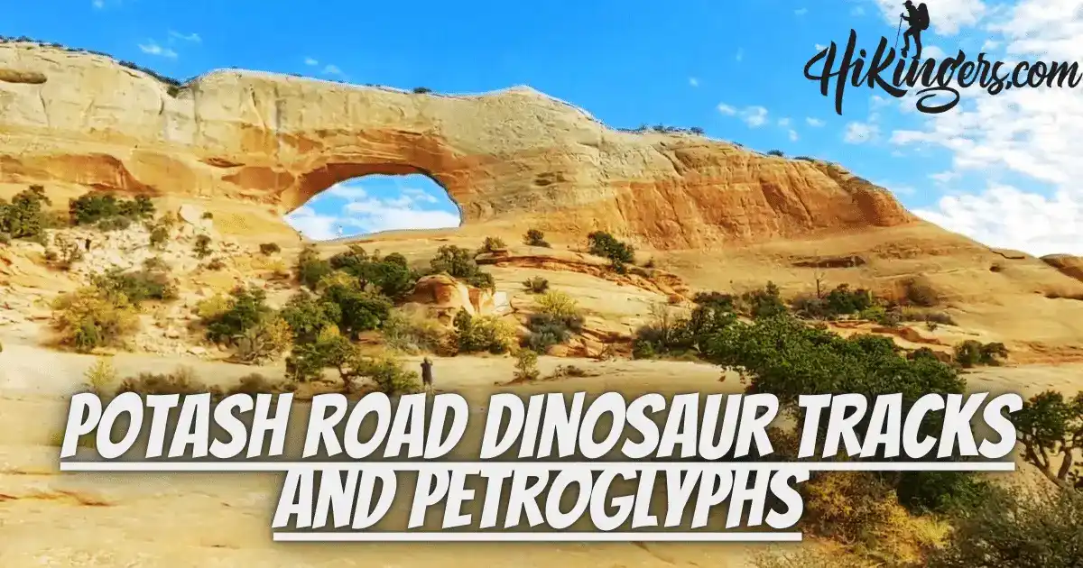 potash-road-dinosaur-tracks-and-petroglyphs